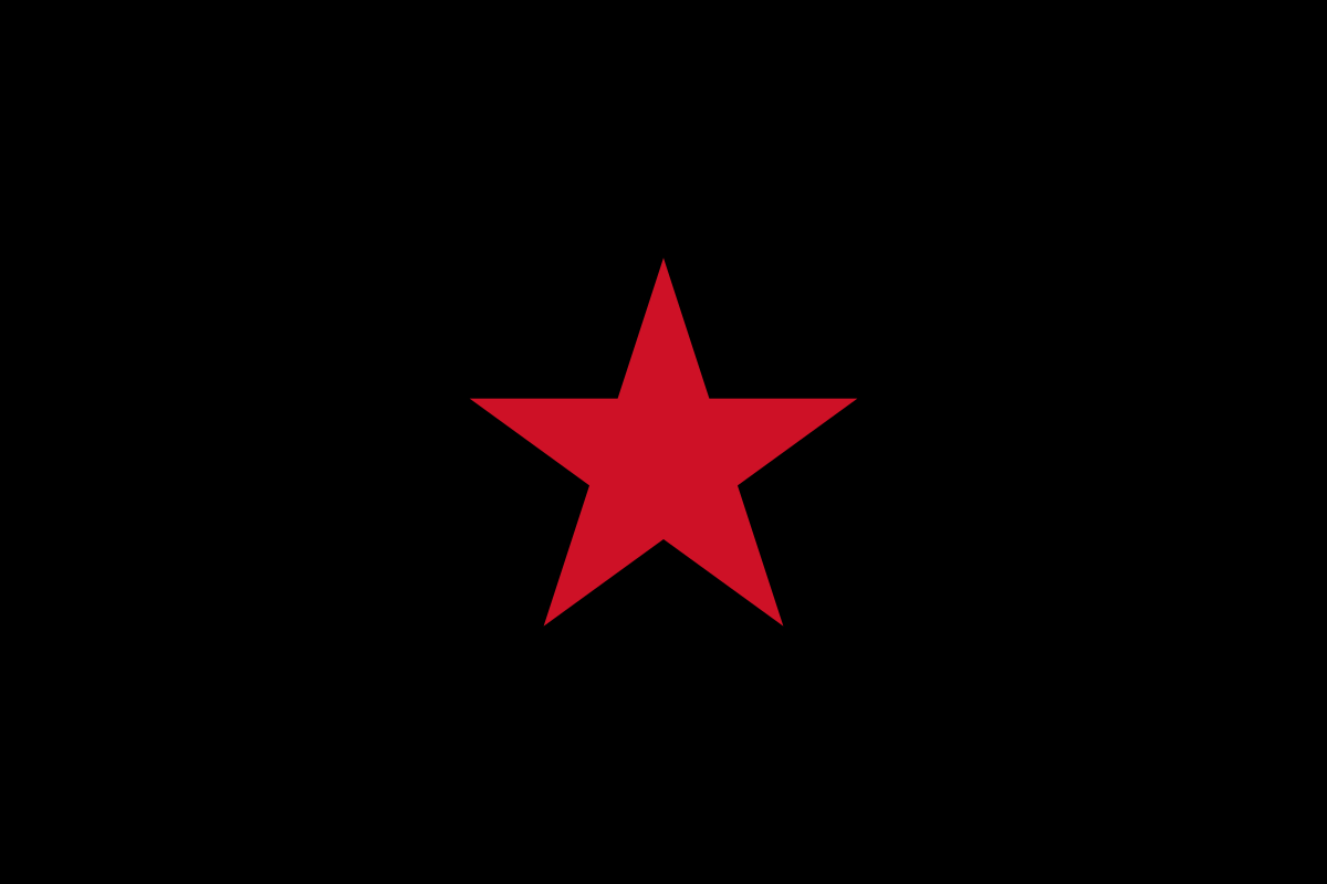 Zapatista flag